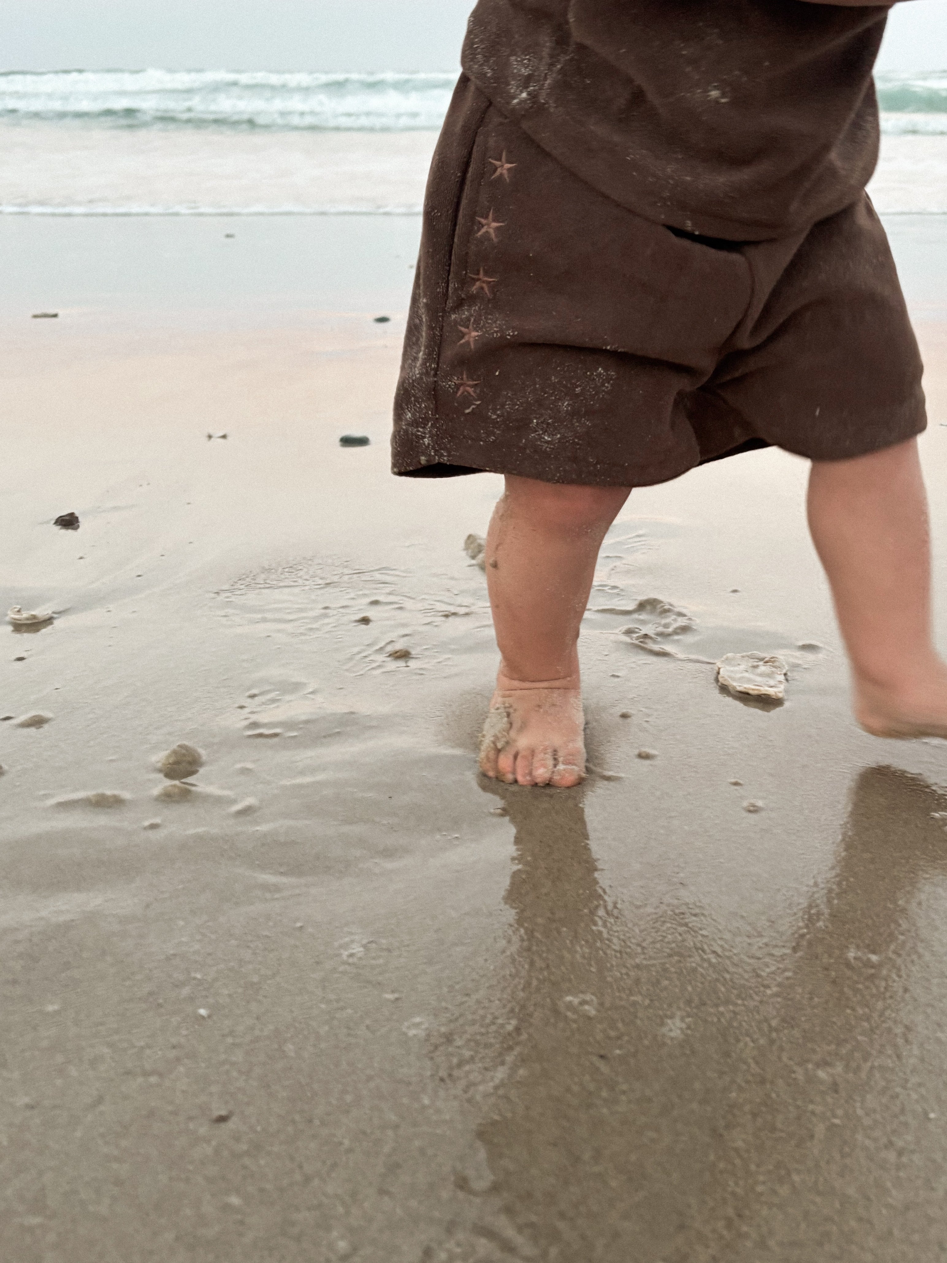 Terry Shorts | Sea Star