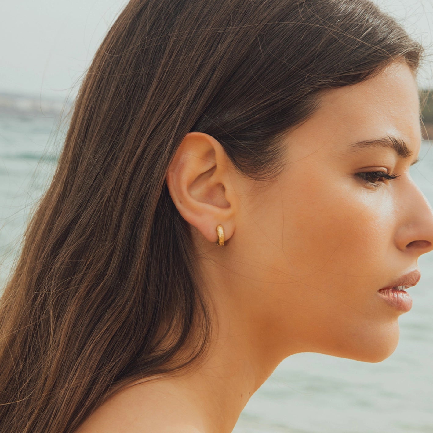 Anilla Earrings